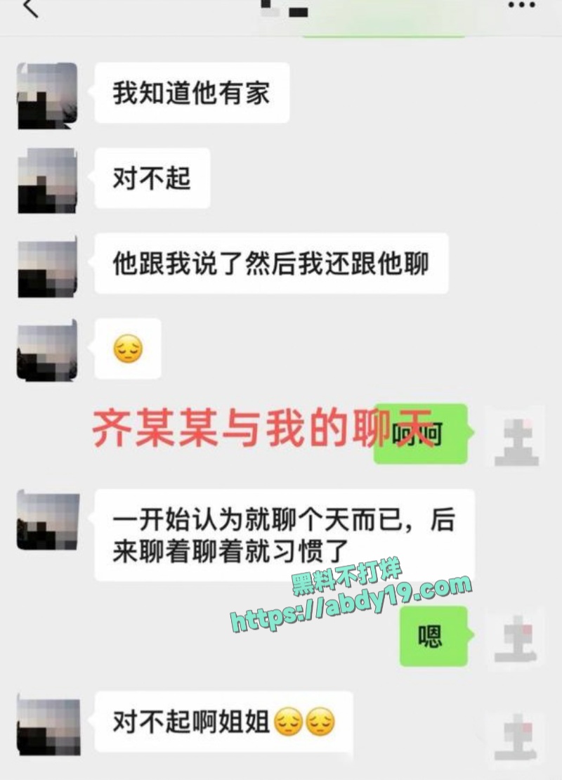 齐姝霞的不雅视频流出 11