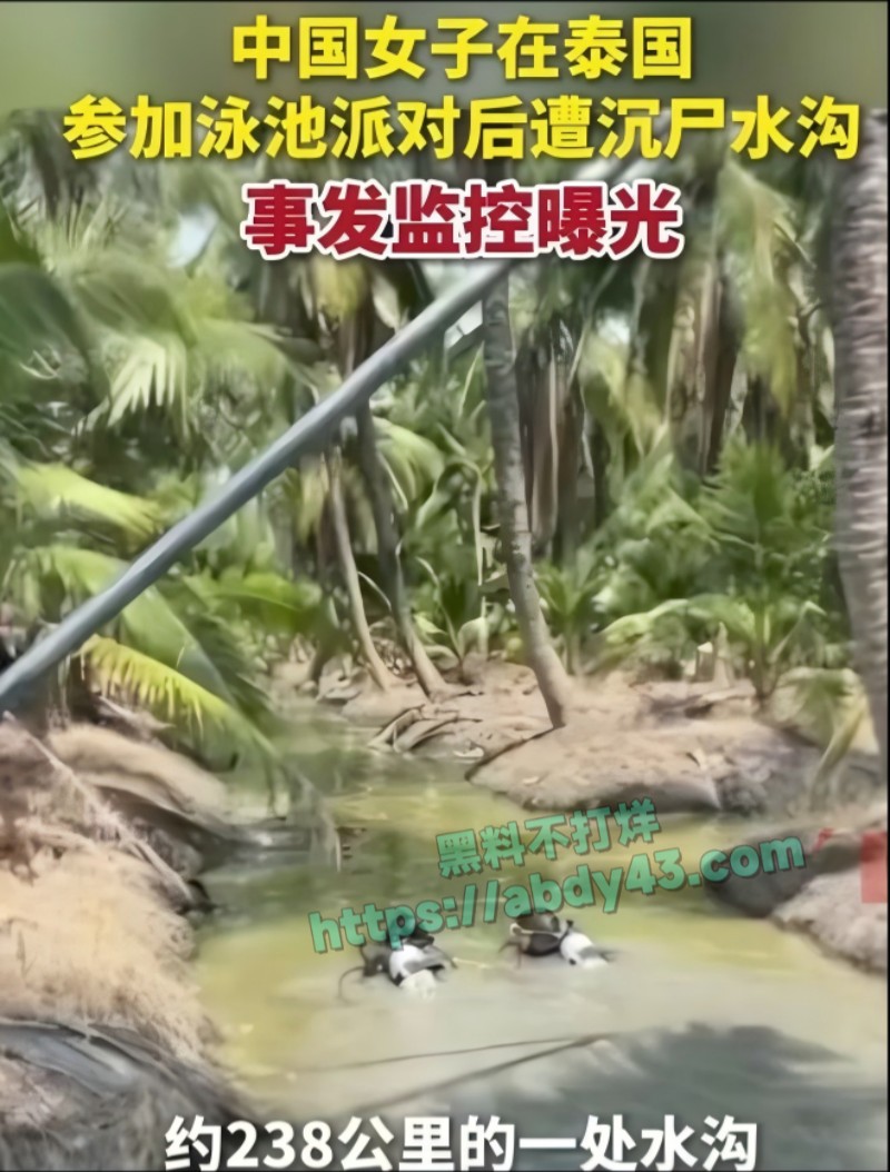 安徽34岁女子在泰国被抛尸水沟28