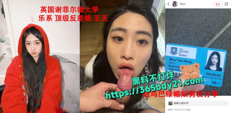 英国谢菲尔德大学绿帽奴贡献顶级留学生女友 3
