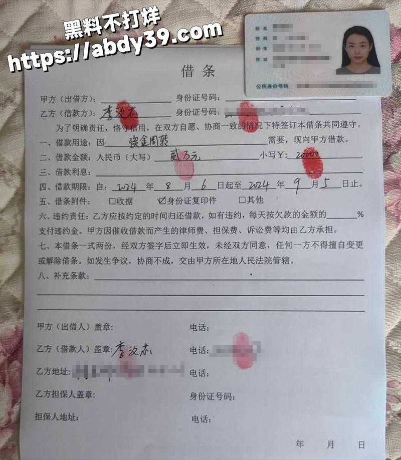 李汶芯，裸贷无力偿还