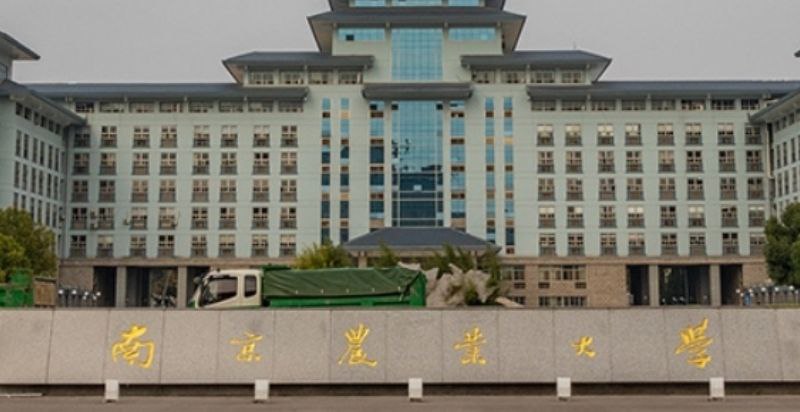 火遍全网骑大马事件 南京农业大学高材生朱宇墨 冒充小学生诱骗女大学生骑大马