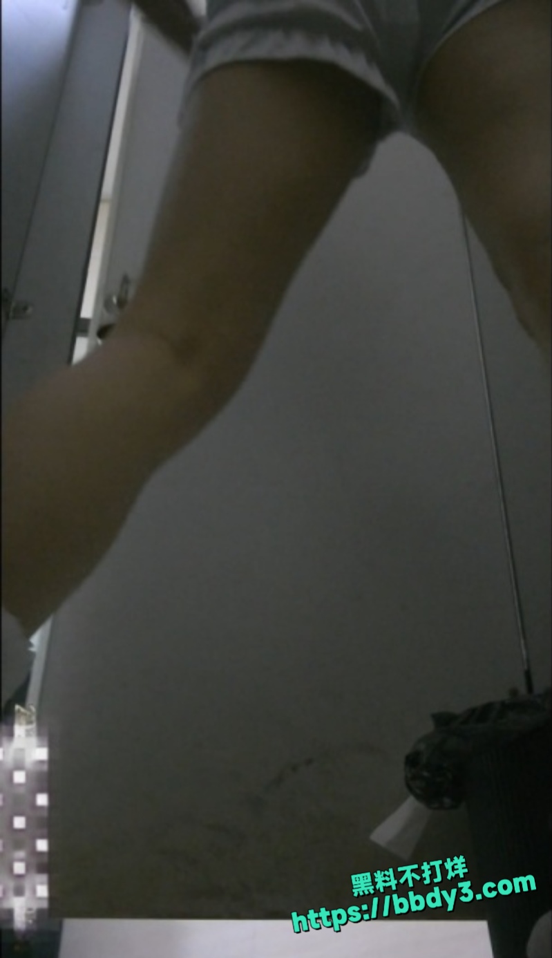 大神双视角超清晰厕拍2