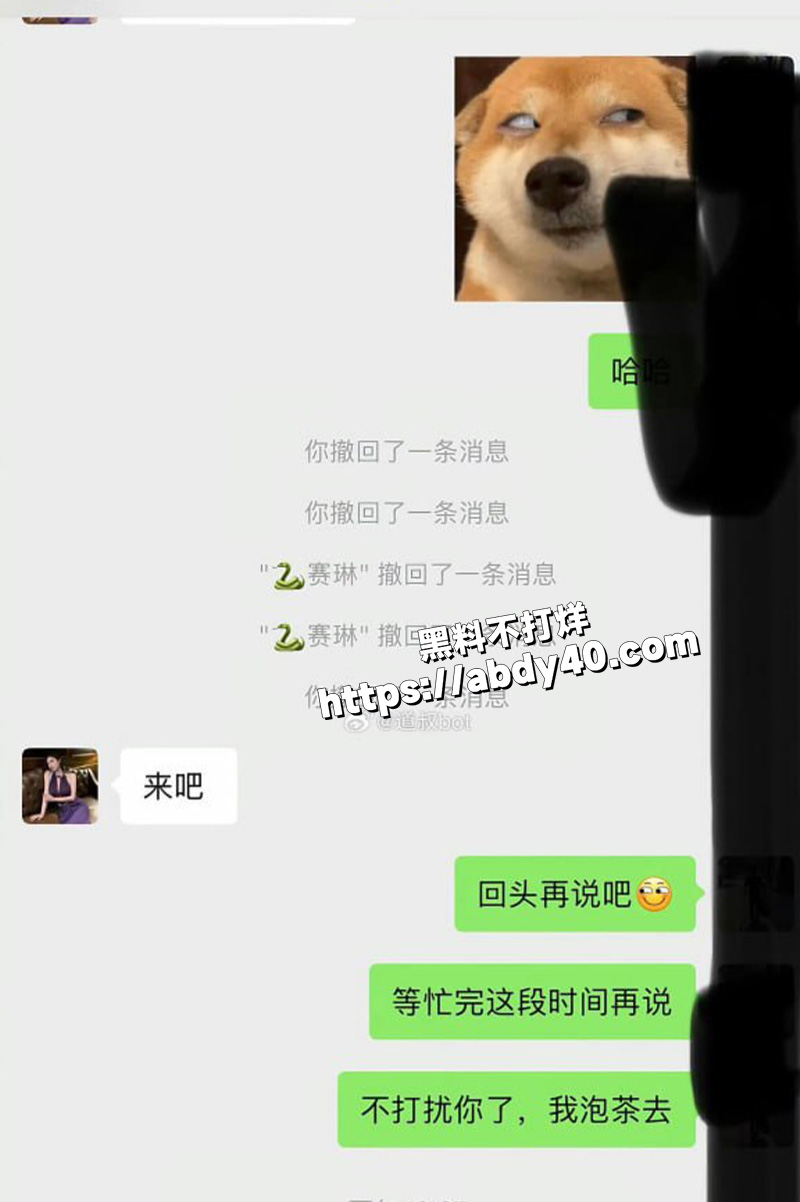 抖音网红 赛琳cc.jpg2
