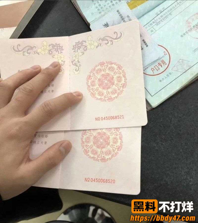 小冠军和巴扎黑1