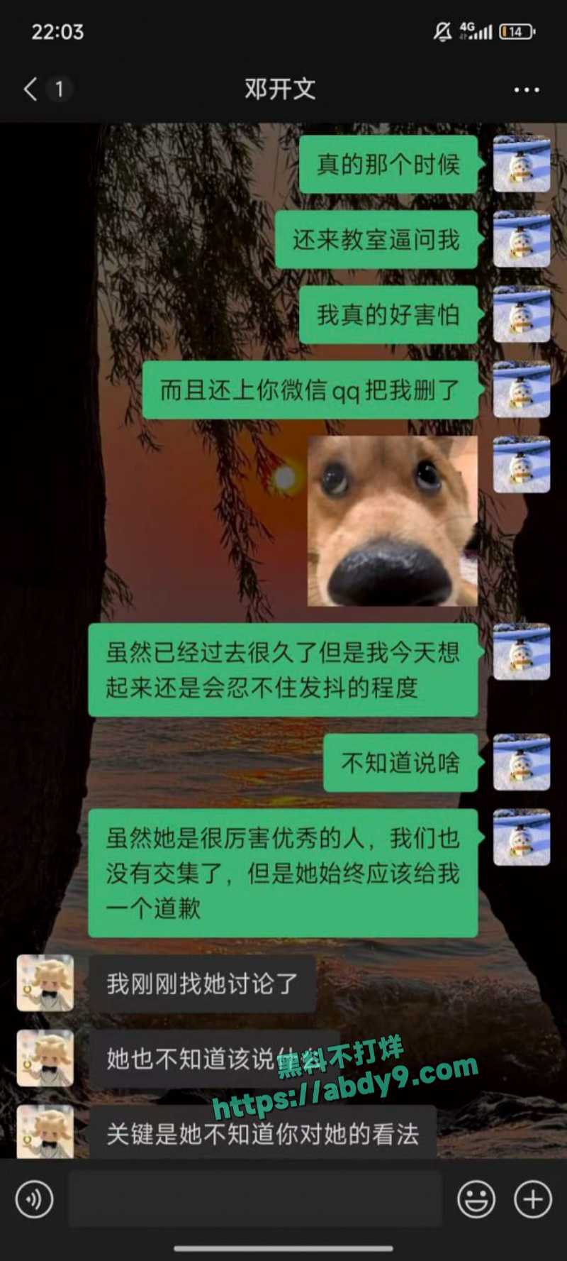 23届文科状元孙一杨邓开文恋爱秘史 7