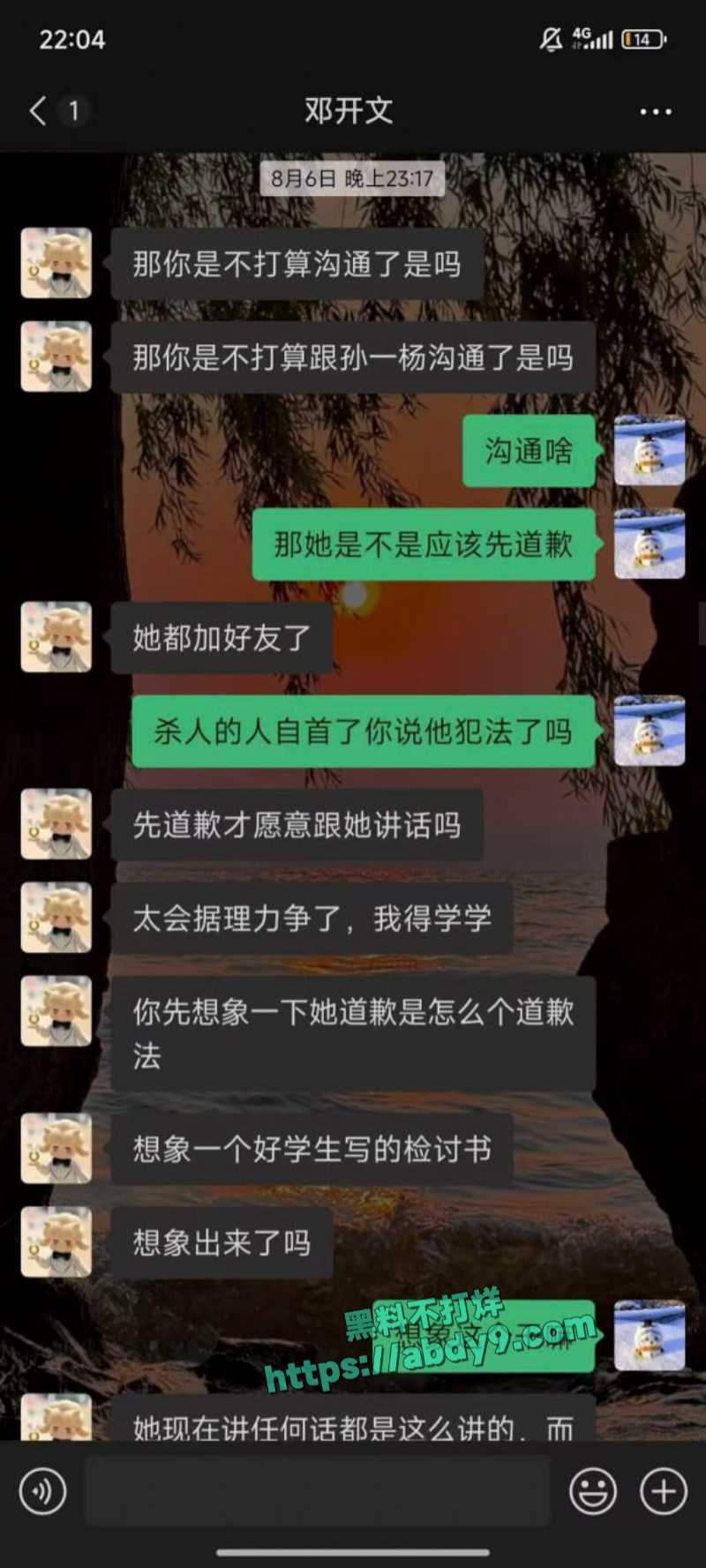 23届文科状元孙一杨邓开文恋爱秘史 8