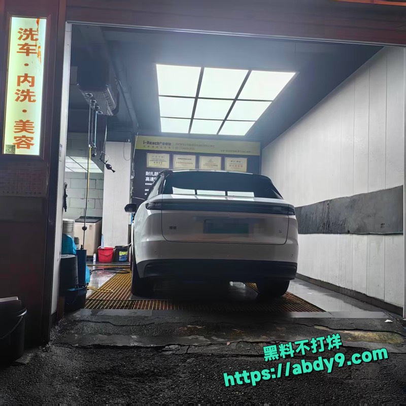 理想i6高压绝缘故障11