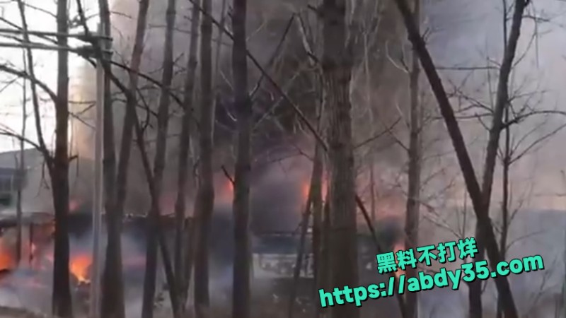 江苏烟花爆竹爆燃 6