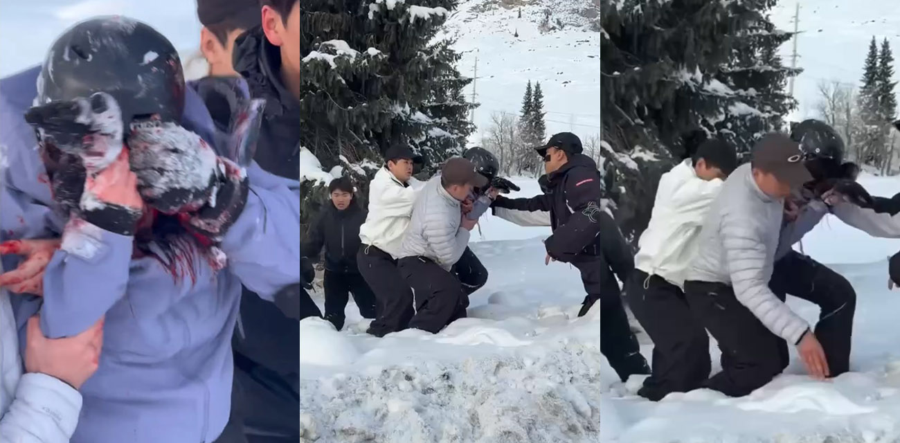 新疆可可托海发生雪豹伤人事件 女子下车撸雪豹被咬 抱头装死 逃过一劫