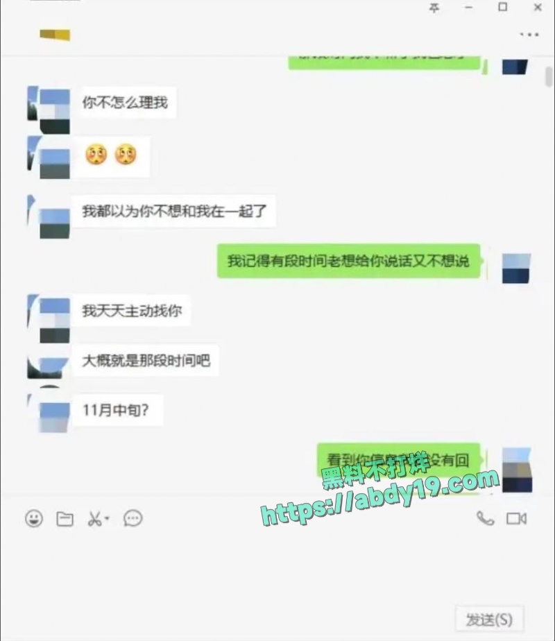 齐姝霞的不雅视频流出 28
