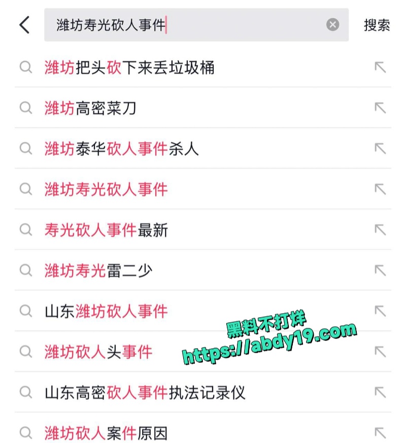 寿光金光街大桥持刀火拼事件 3