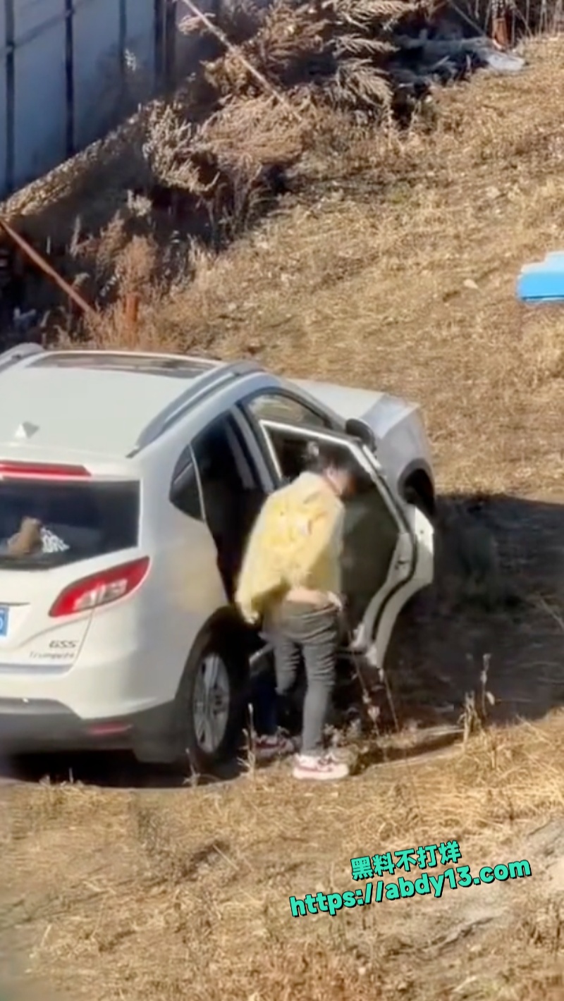 吉林熟男熟女野外偷情被当场抓包 8