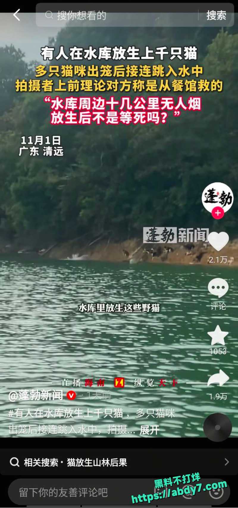 广东清远迎咀水库奇葩放生事件 8