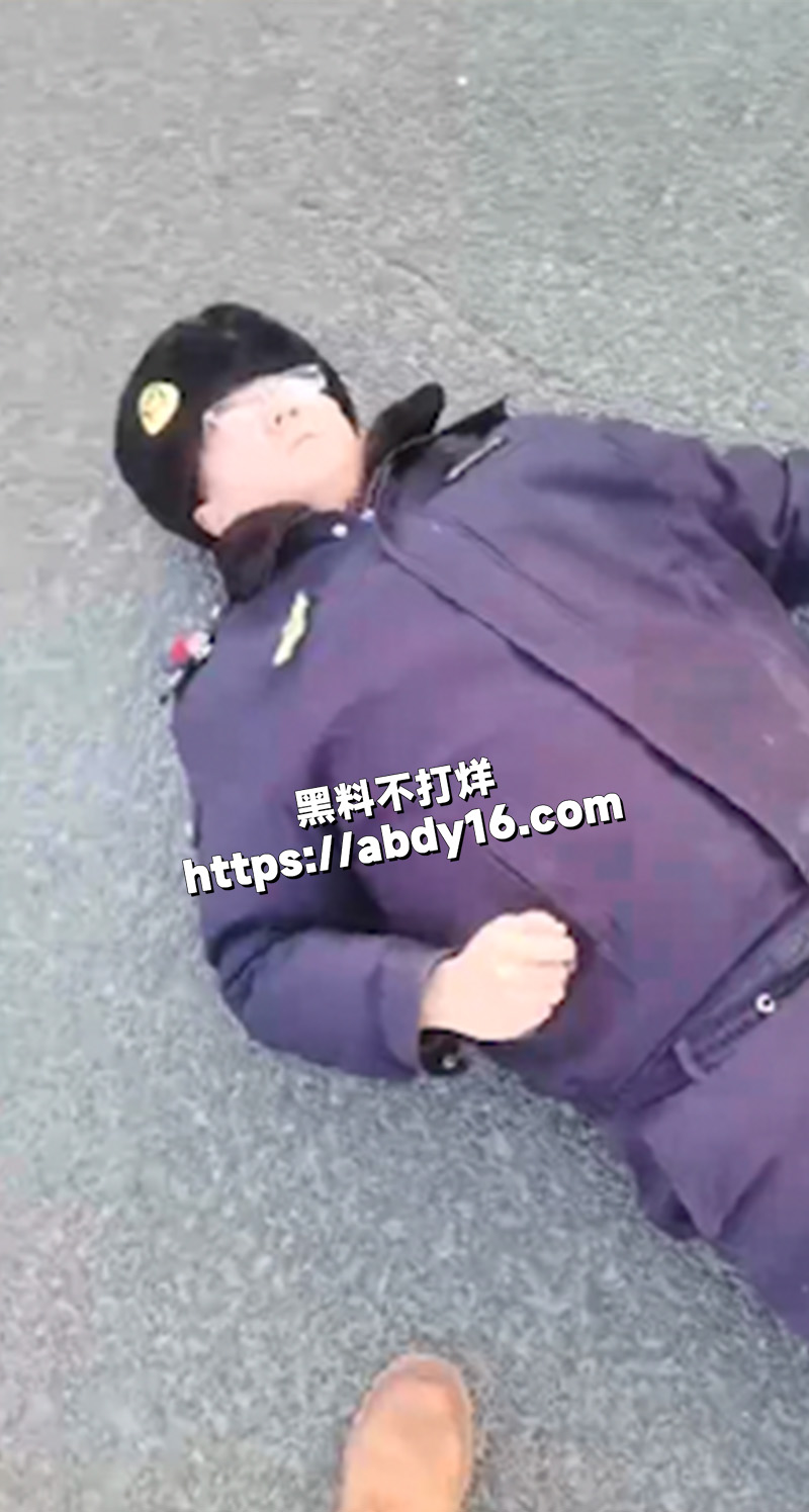 黑网约车撞人后逃逸2