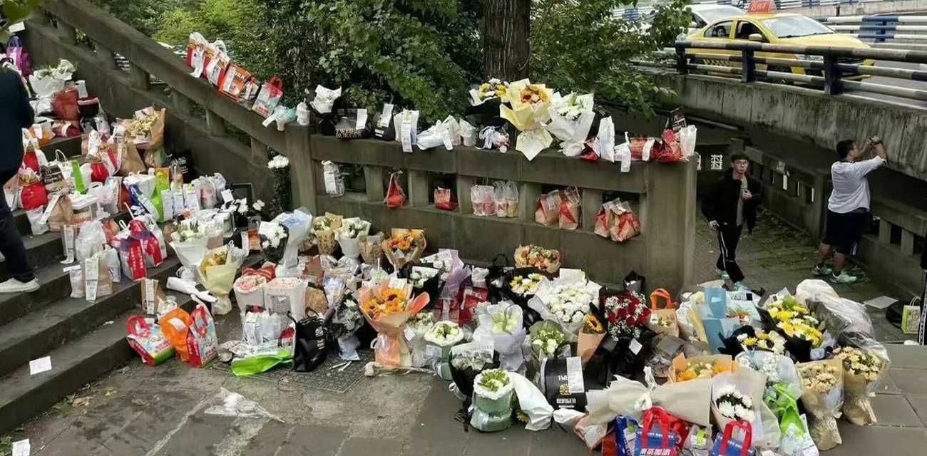 央视深度还原胖猫谭竹事件真相 综合各方调查结果来看 谭竹竟是唯一的倒霉蛋