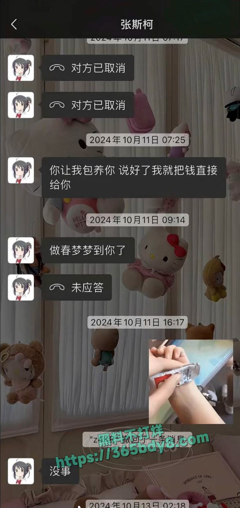 张斯柯出轨嫖娼 32