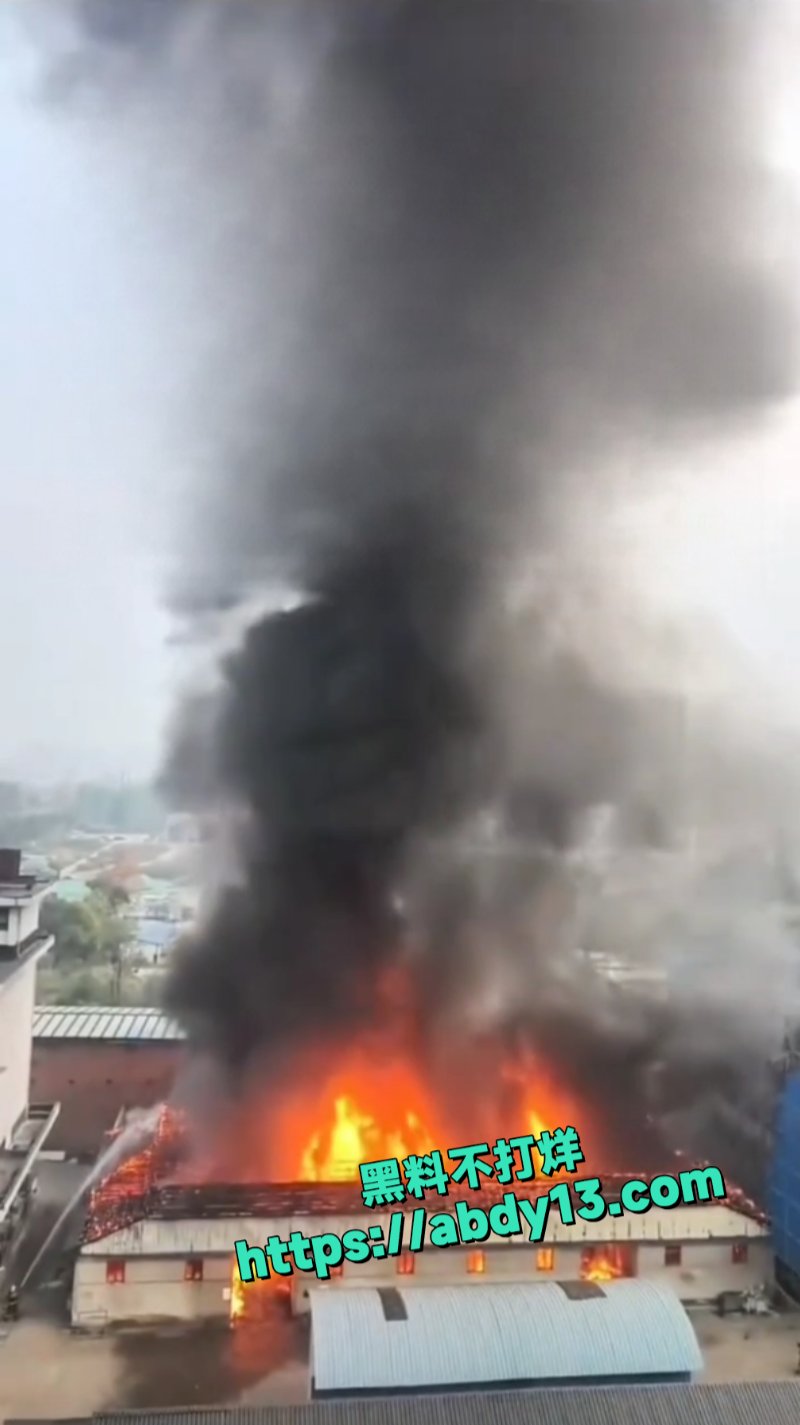 成都八里庄地铁站口突发大火4