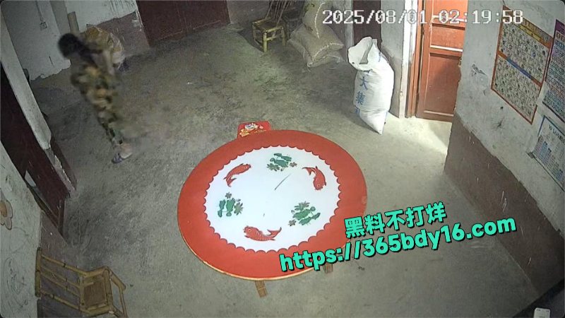 监控拍下母亲偷情视频3