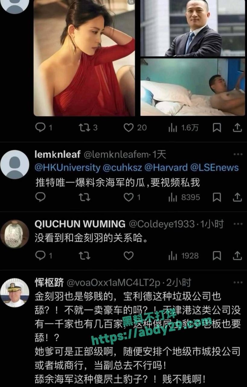 哈佛博士金刻羽与浙商余海军婚外情 43