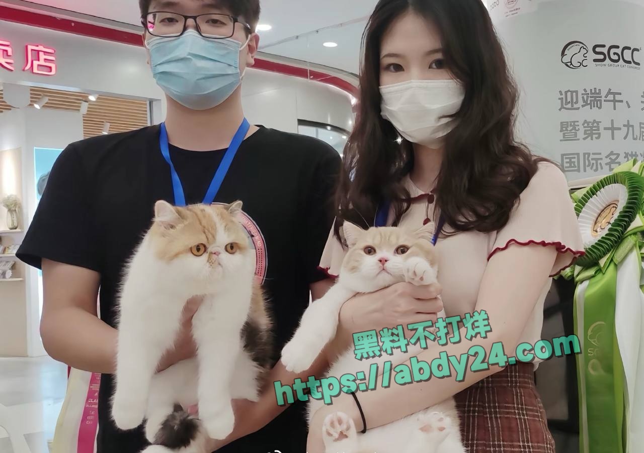 抖音网红童锦程私生子事件反转 14