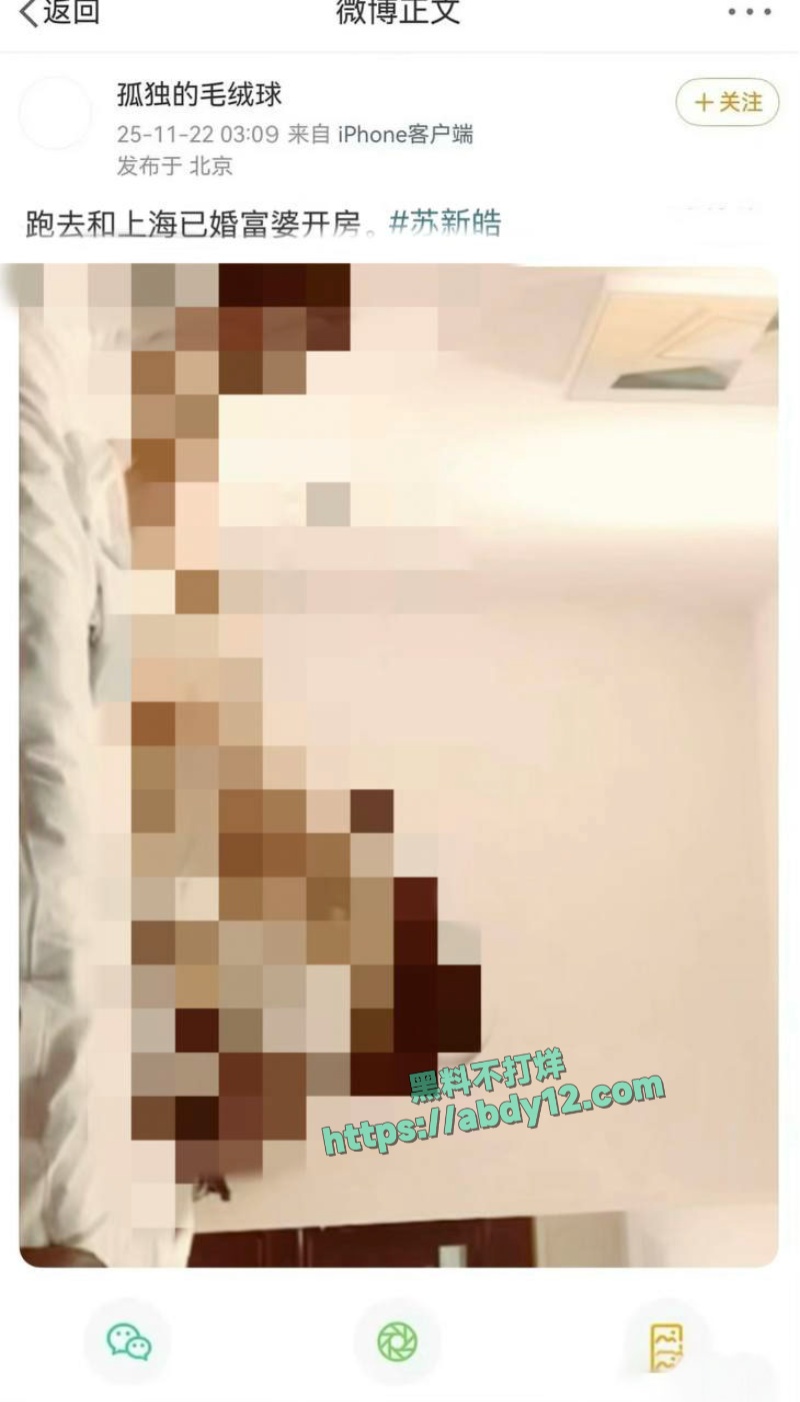 时代峰骏顶流小鲜肉苏新皓私联粉丝 11