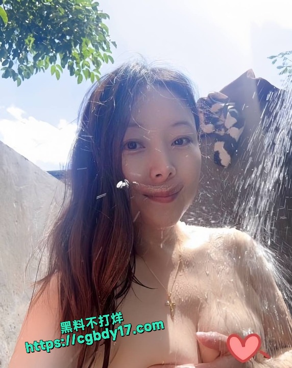 女警苏静8