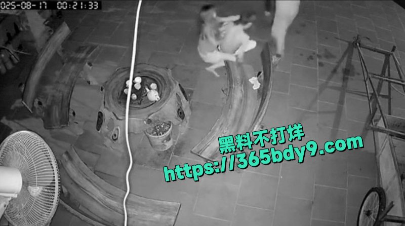 越南毒妇捅死自己老公4