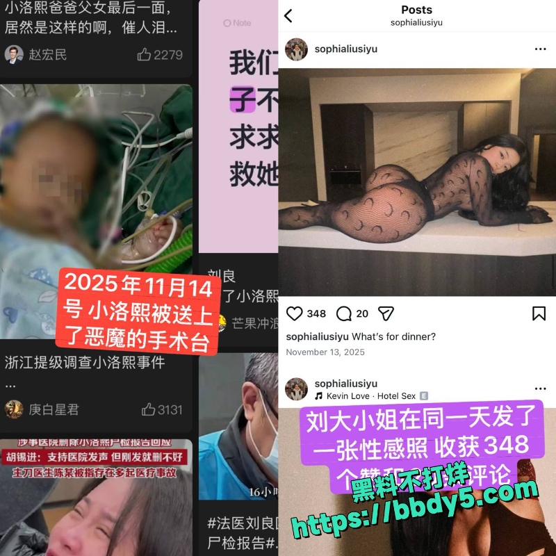 小洛熙案幕后真凶下场13