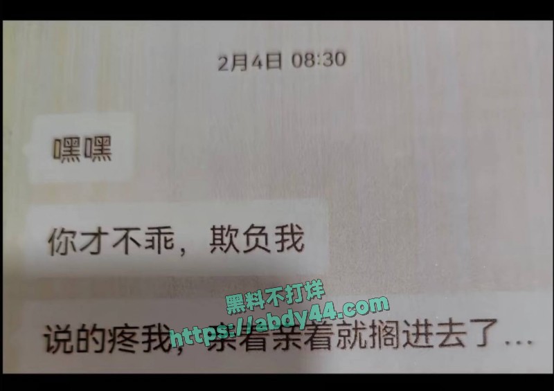 厉老二聊骚出轨3