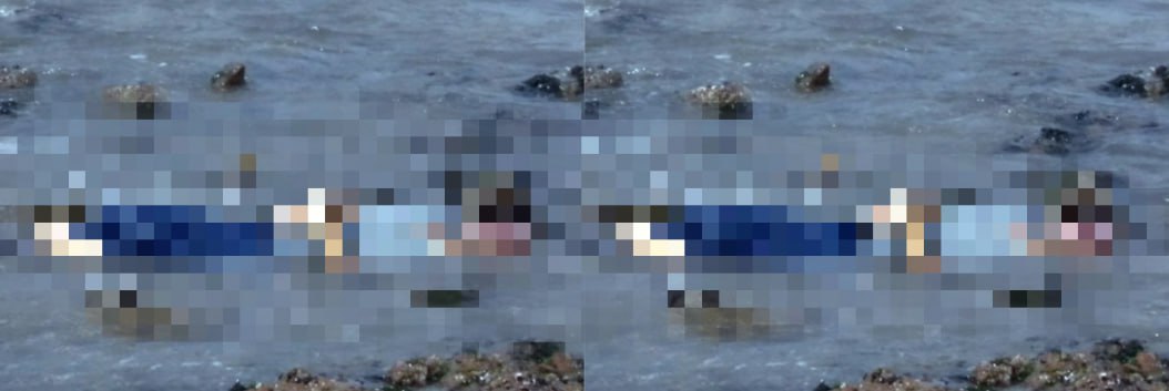 山东青岛 海岸边惊现浮尸 现实版美人鱼 慎点慎入慎看 以防不适