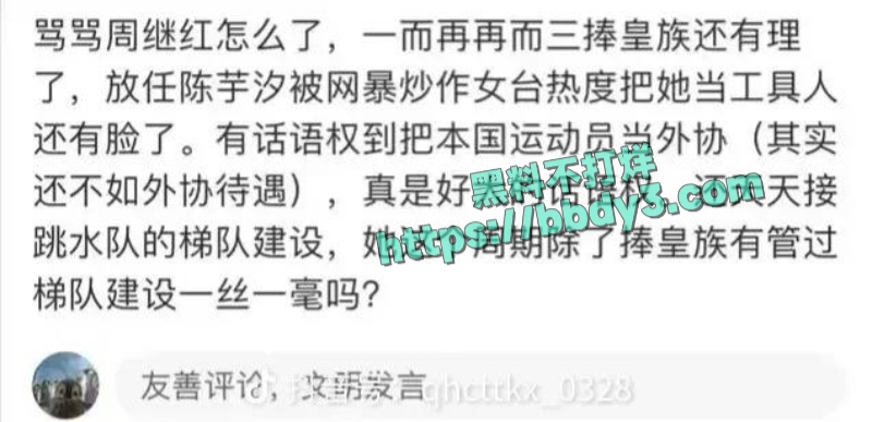跳水冠军全红婵遭网暴 12