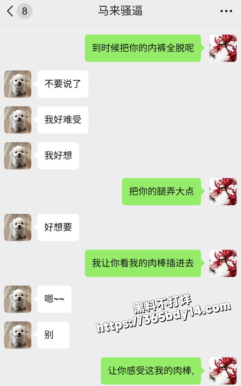 网调马来西亚小妞11