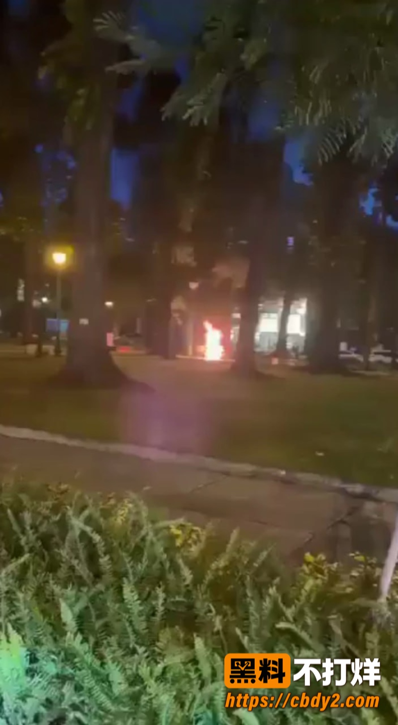 圣母大教堂6
