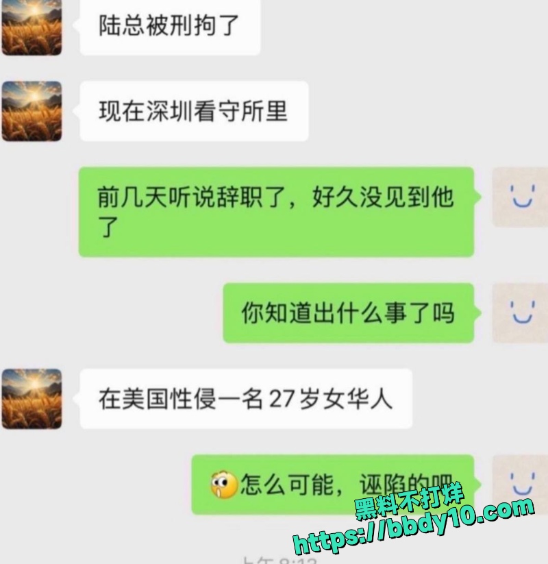 国光电器前董事长陆宏达5