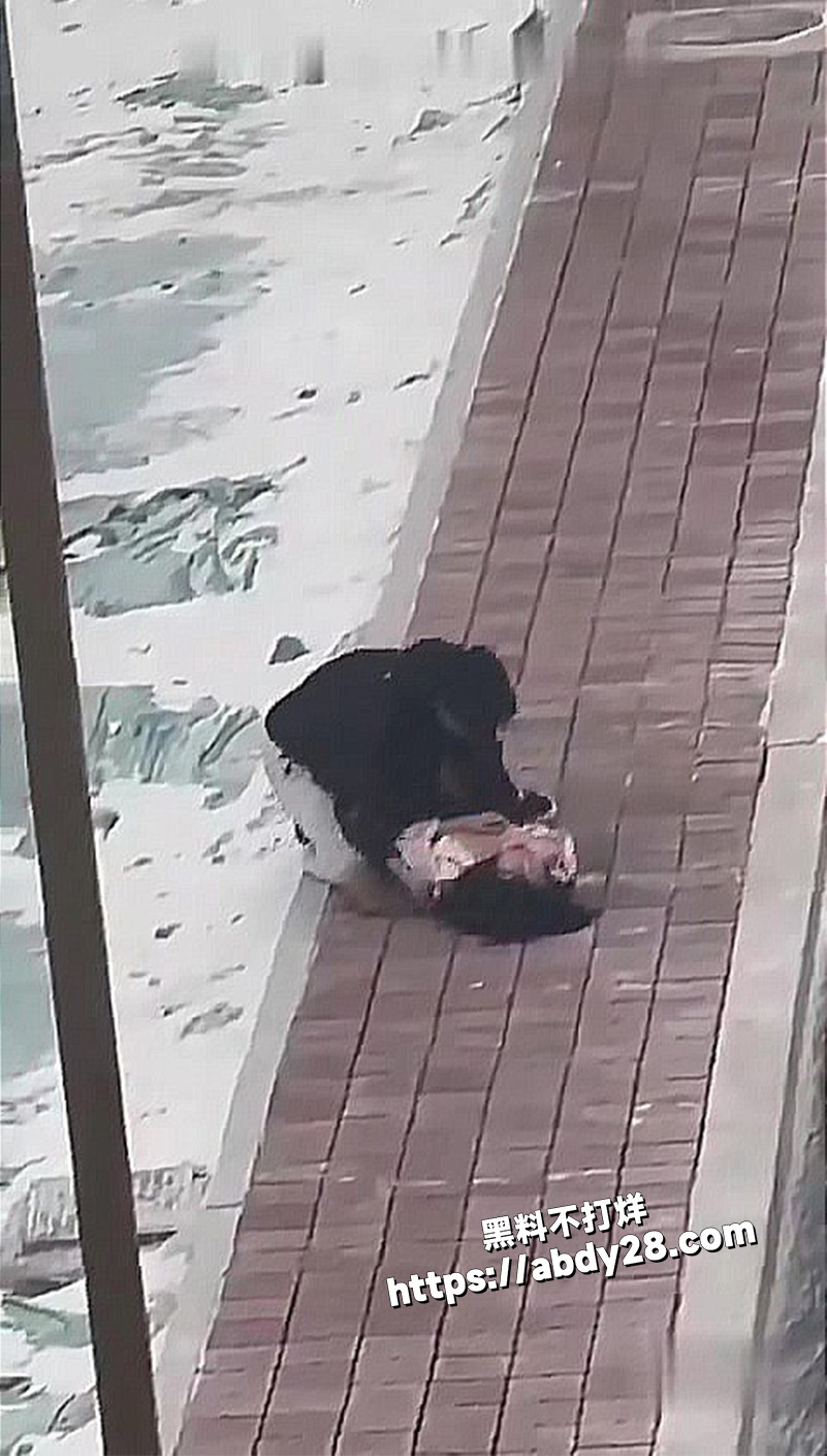 情侣吵架女生情绪失控8