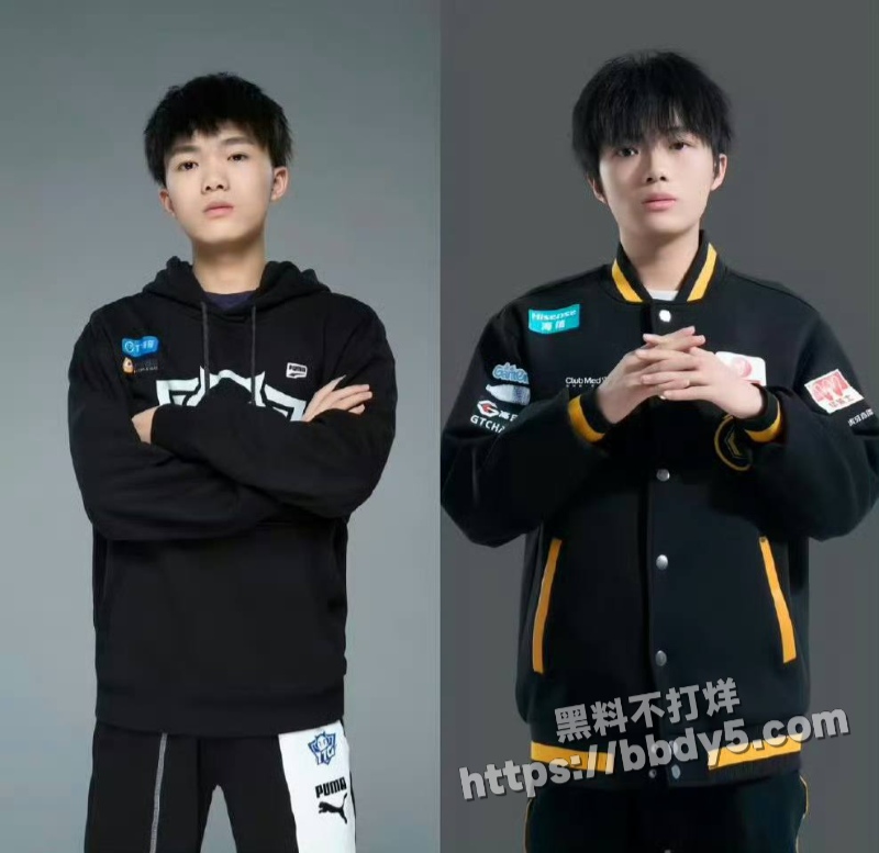 王者荣耀狼队清清27