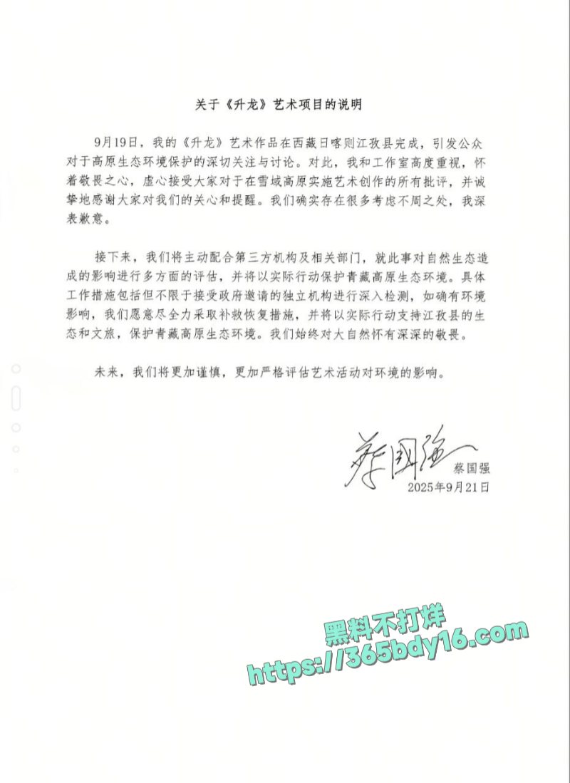 蔡国强升龙烟花秀 3