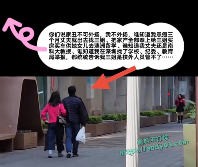 南科大教授徐景平包养小三15