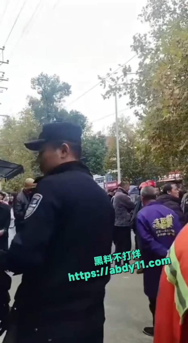 益阳又一大新闻5