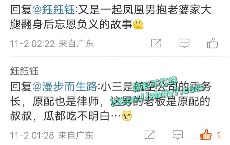 君合律所合伙人许晟骜被原配曝光出轨 6