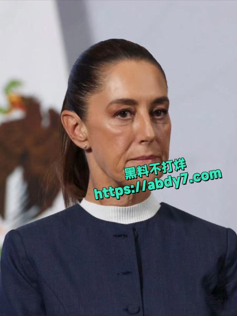 墨西哥女总统谢因鲍姆遭街头性骚扰 1