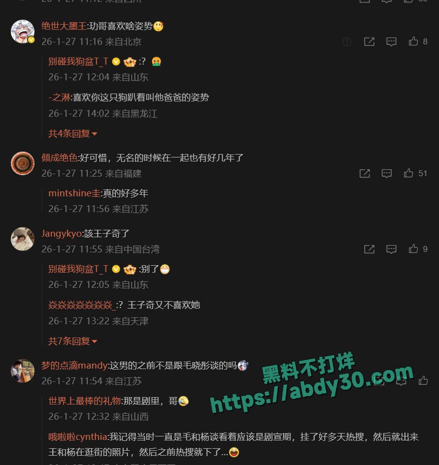 王玉雯杨玏被曝分手 9