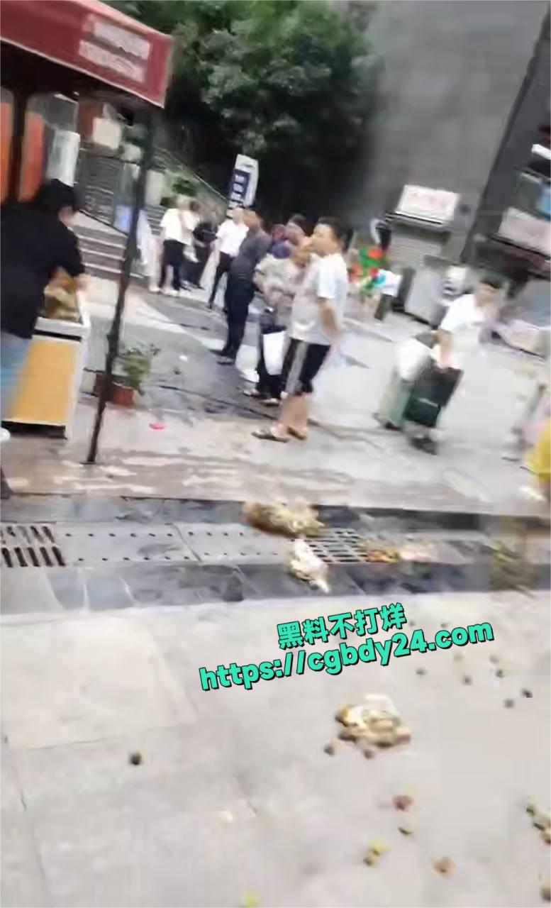 重庆渝北西瓜4