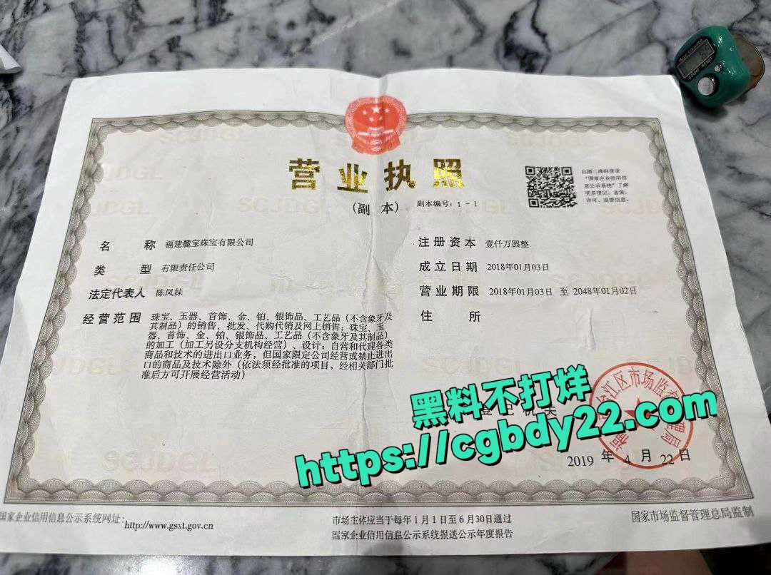 福建麓宝珠宝有限公司 女老总陈凤琴，经常几个大姐姐一起KTV找男模3