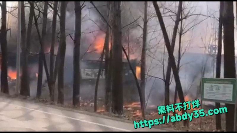 江苏烟花爆竹爆燃 5