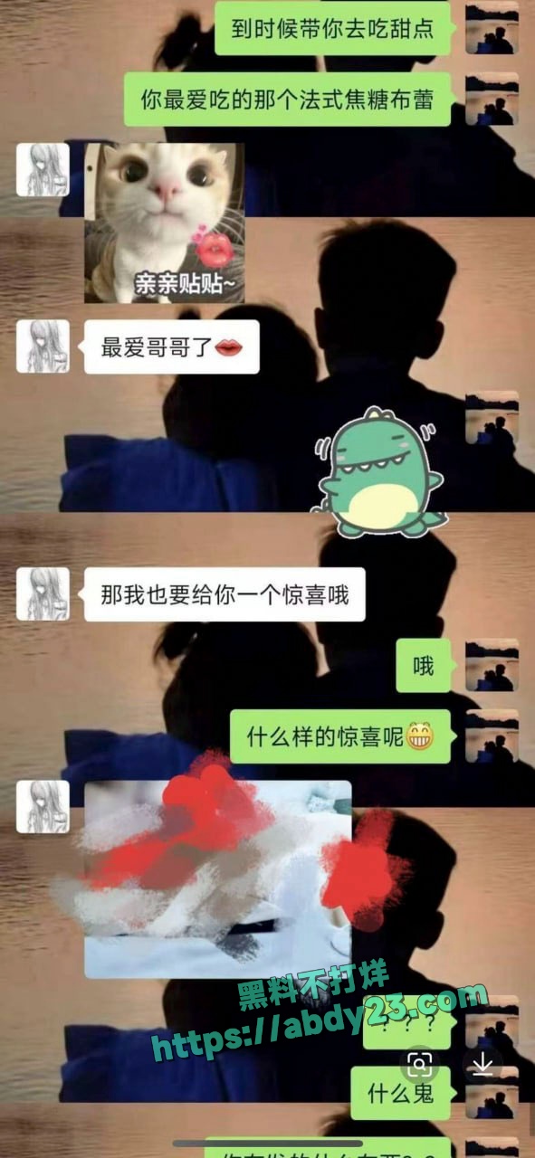 小仙女炸裂聊天记录 3