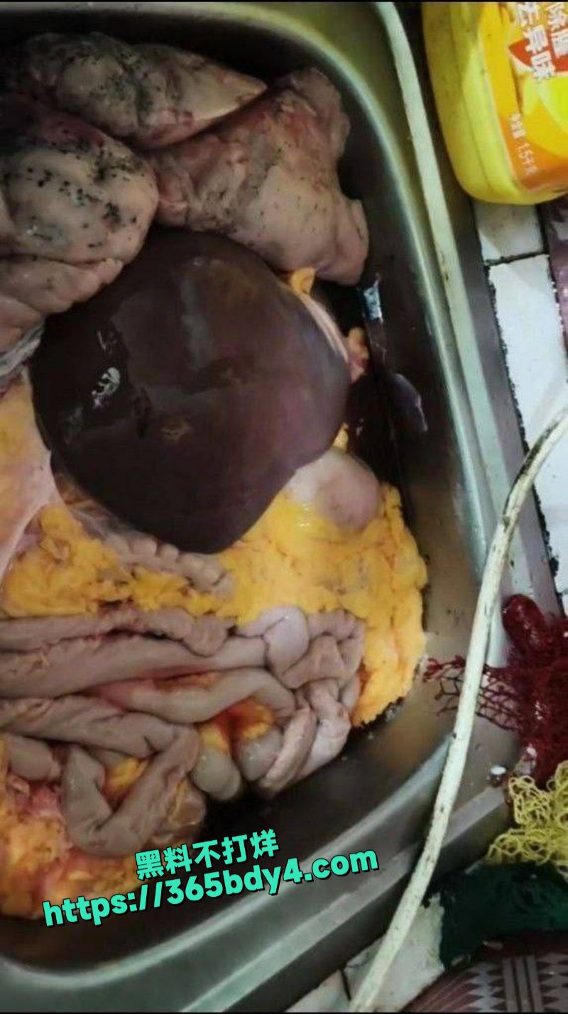越南邪教恐怖食人现场视频9