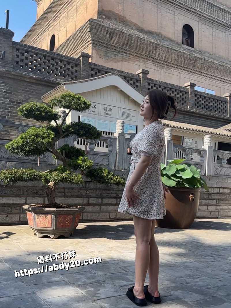 安徽顶级少妇 王雨3