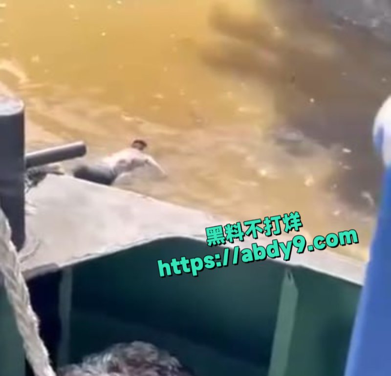 男子河中游泳惊遇鳄鱼袭击6