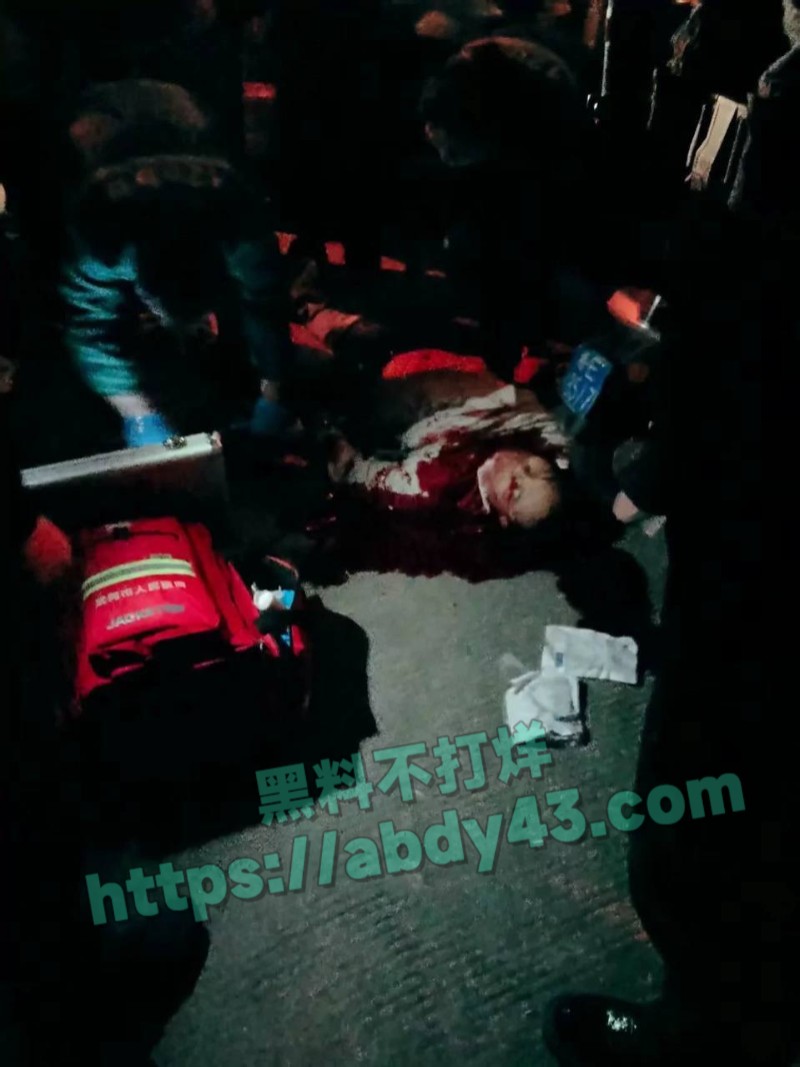 湖南邵阳武冈两男情杀1